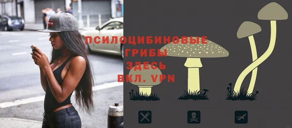 трава Балахна